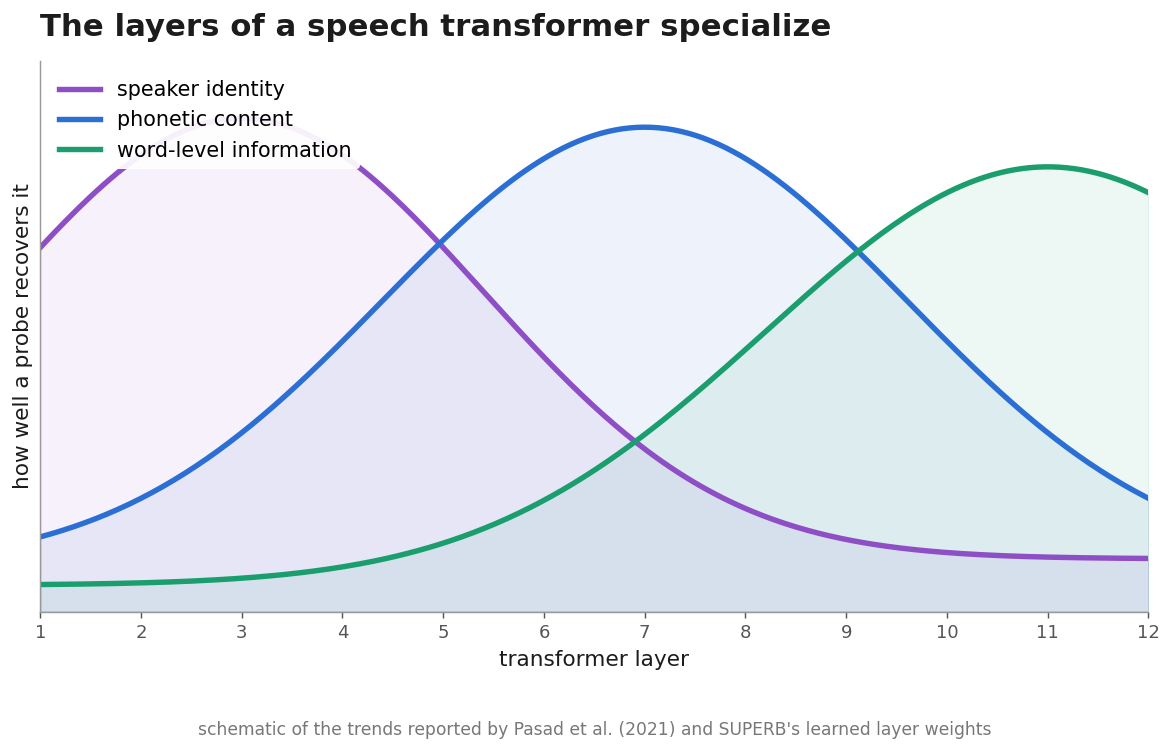 Schematic curves showing speaker identity peaking in early layers, phonetic content in the middle, and word-level information late